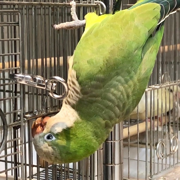 11.jpg