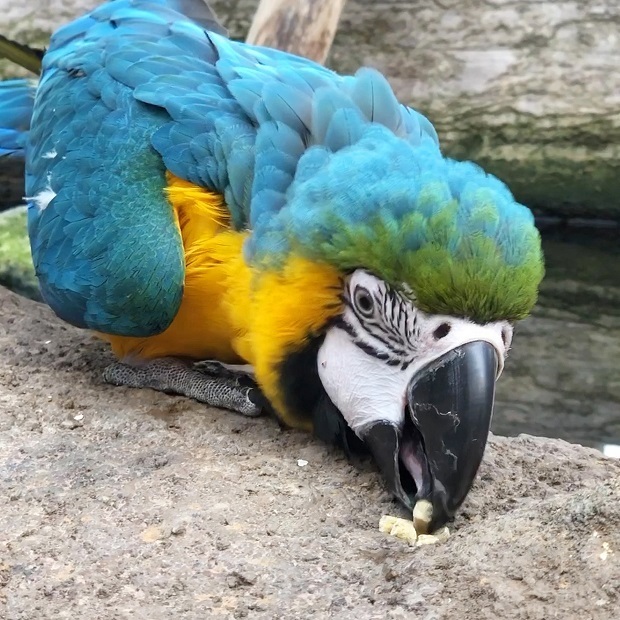 11.jpg