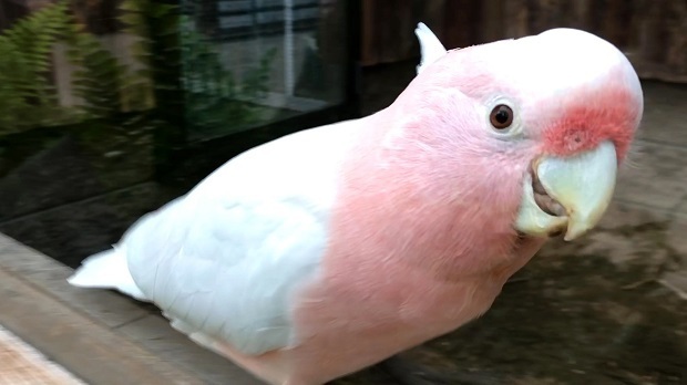 18.jpg