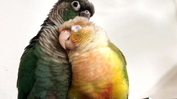 19.jpg