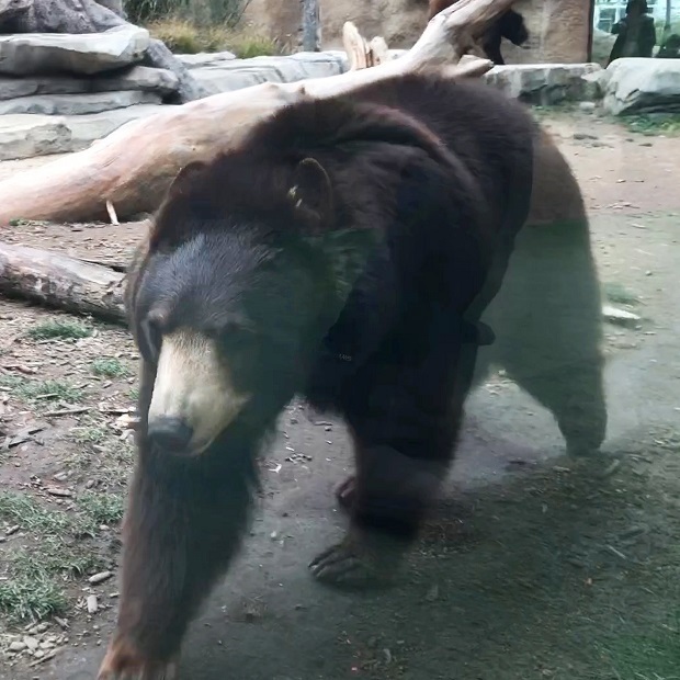 25.jpg