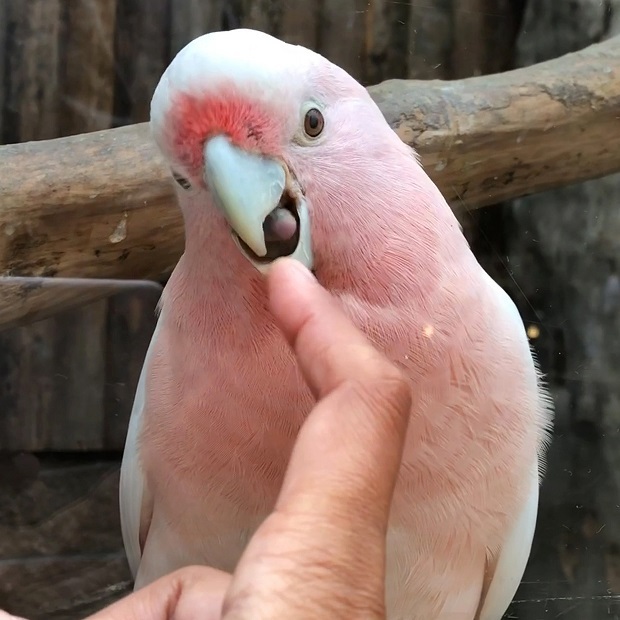35.jpg