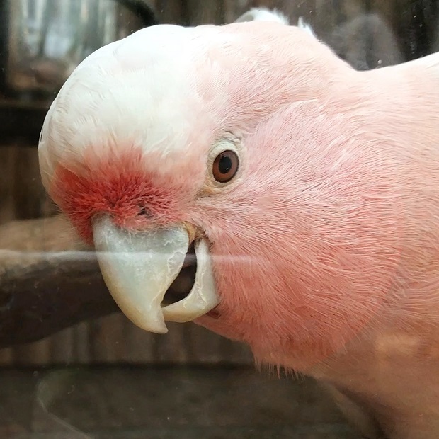 44.jpg